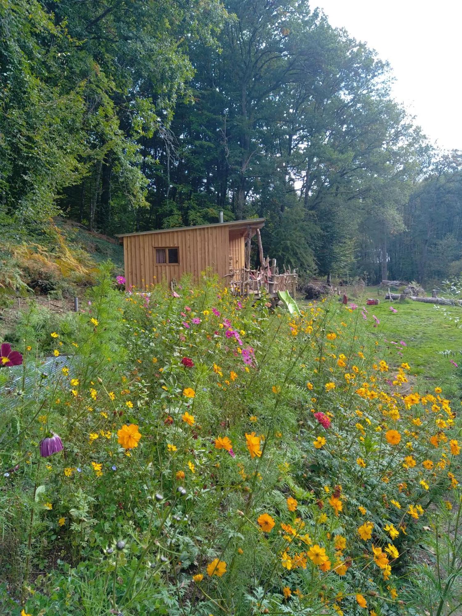 Gite Nature Au Pied Des Hetres Villa Vitrac-sur-Montane Exterior photo